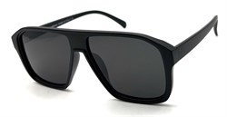 BR14066 C84 POLAR 20526