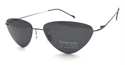 P8004 C1 POLAR 20602