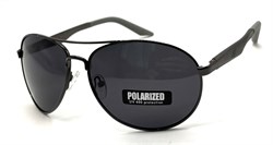 P1108 C1 POLAR 20639