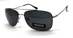 P17165 C2 POLAR 20652