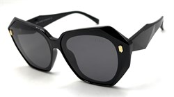 BR19016 C1 POLAR 20689