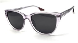 BRZ8001 C3 POLAR 20717