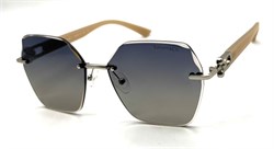 BRZ6040 C4 POLAR 20736