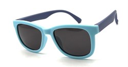 KD6031 C5 48-17-127 POLAR 20742