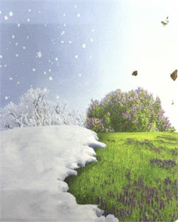 Салфетки Т-129 873598356