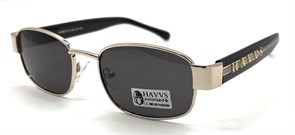 HAVVS_HV68016 A 20230