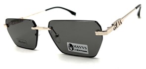 HAVVS_HV68107 A 20238