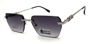 HAVVS_HV68107 B 20239