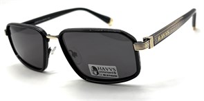 HAVVS_HV68119 A 20266