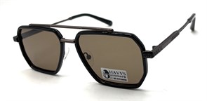 HAVVS_HV68125 C 20272