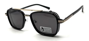 HAVVS_HV68135 A 20274