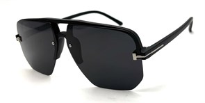 BR1954 C1 POLAR 20495