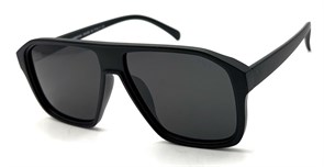 BR14066 C84 POLAR 20526