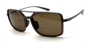 BR51004 C3 POLAR 20532