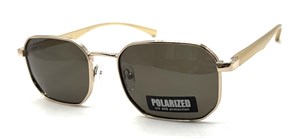 P2078 C40 POLAR 20584