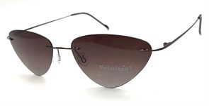 P8004 C3 POLAR 20604