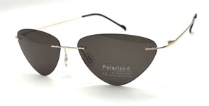 P8004 C5 POLAR 20606