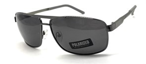 P033 C10 POLAR 20628