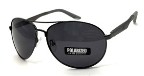 P1108 C1 POLAR 20639