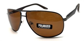 P1134 C2 POLAR 20646