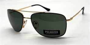 P17165 C2 POLAR 20651