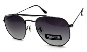 P17069 C1 POLAR 20654