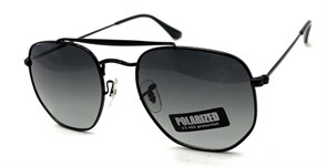 P17069 C3 POLAR 20656