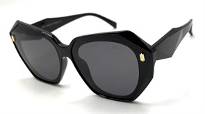 BR19016 C1 POLAR 20689