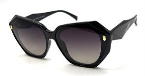 BR19016 C2 POLAR 20690