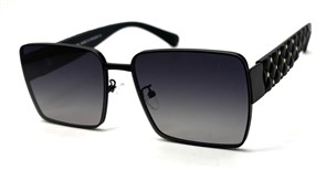 BRZ6033 C1 POLAR 20729