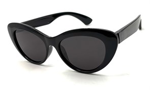 KD6069 C1 52-17-136 POLAR 20761