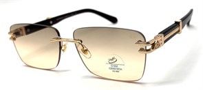 BR1A712BS C2 PHOTOCHROMIC 20853