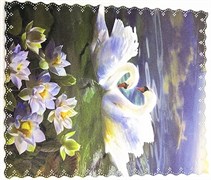 салфетки 81 350881291