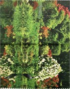 Салфетки 113 1635537305