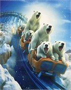 Салфетки Т-13 1869778996